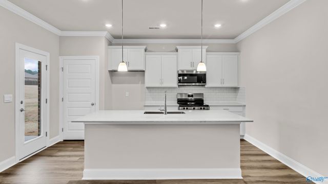 28140 Saddle Springs Drive NW, Madison, AL 35756