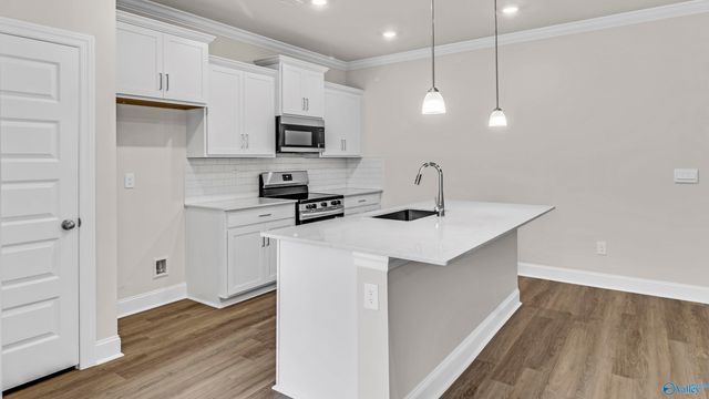 28140 Saddle Springs Drive NW, Madison, AL 35756