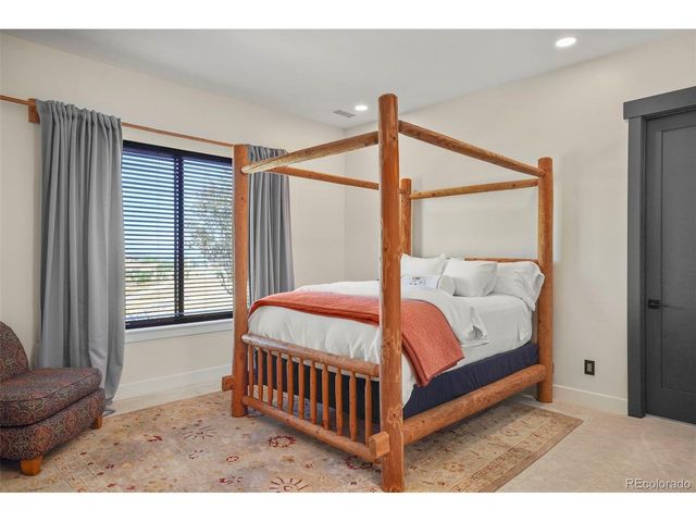 1555 King Mick Ct, Castle Rock, CO 80104