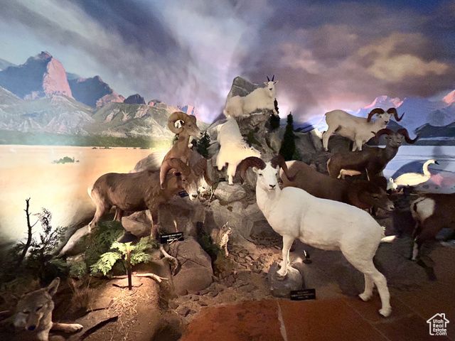 303 RACHEL LN, New Harmony, UT 84757