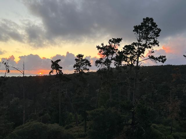 24312 San Juan Road, Carmel, CA 93923