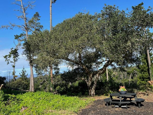 24312 San Juan Road, Carmel, CA 93923