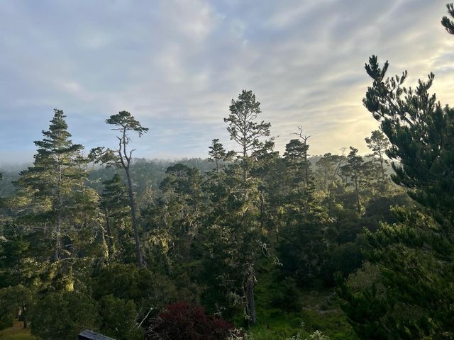 24312 San Juan Road, Carmel, CA 93923