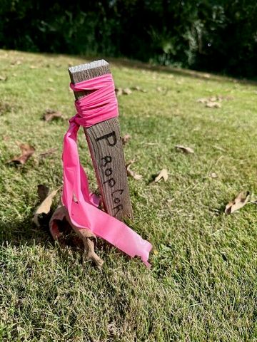 5700 Lyle Circle, Hixson, TN 37343