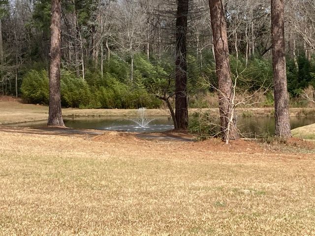 7 Dogwood Lane, Walterboro, SC 29488