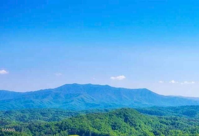 2310 Top Of The World Drive, Sevierville, TN 37876