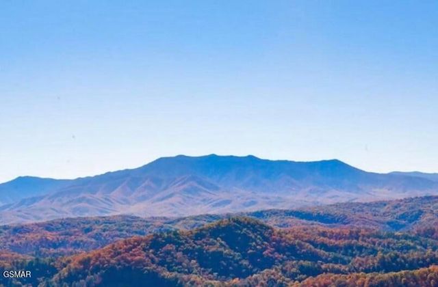 2310 Top Of The World Drive, Sevierville, TN 37876