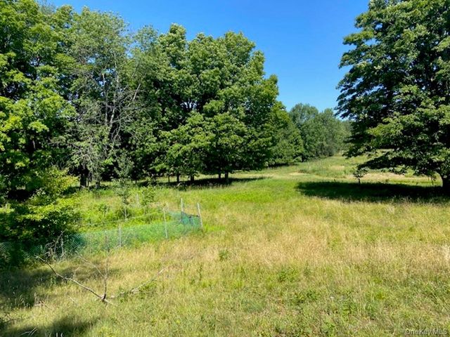 607 Happy Avenue, Swan Lake, NY 12783