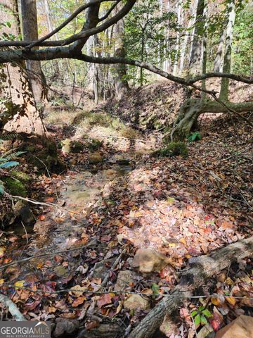 0 Grace Drive, Blue Ridge, GA 30513