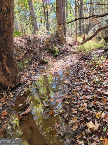 0 Grace Drive, Blue Ridge, GA 30513