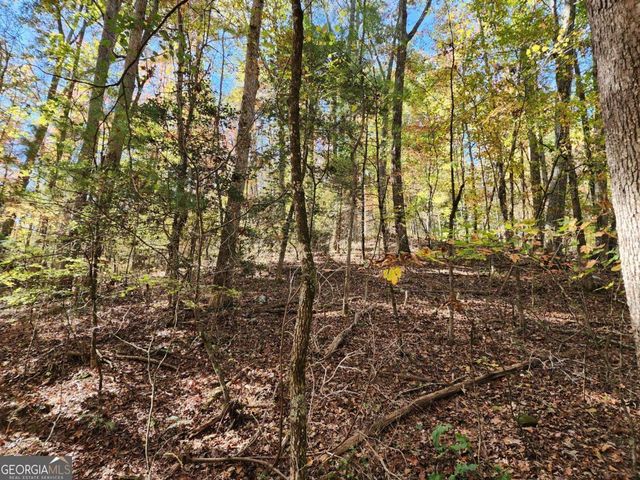 0 Grace Drive, Blue Ridge, GA 30513