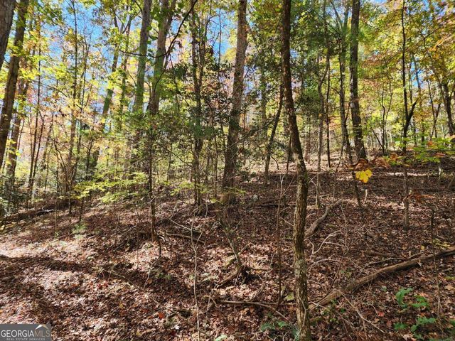 0 Grace Drive, Blue Ridge, GA 30513