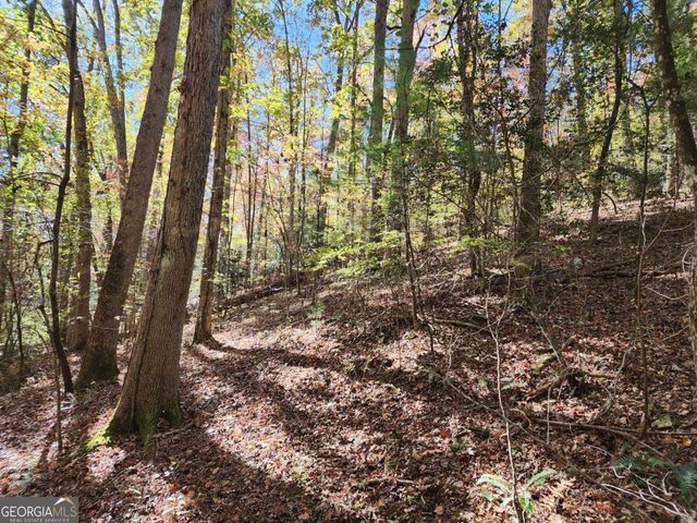 0 Grace Drive, Blue Ridge, GA 30513