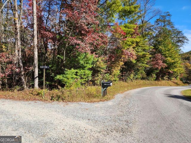 0 Grace Drive, Blue Ridge, GA 30513