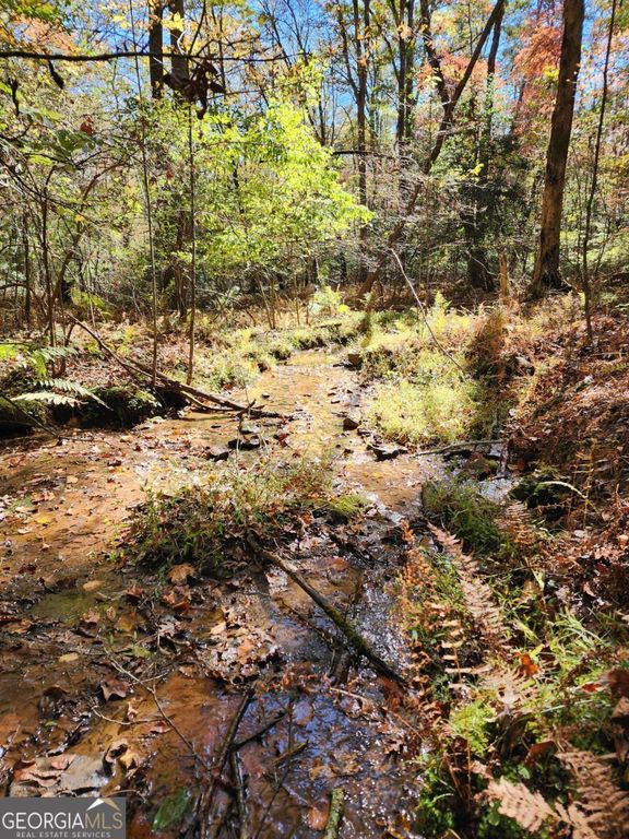 0 Grace Drive, Blue Ridge, GA 30513