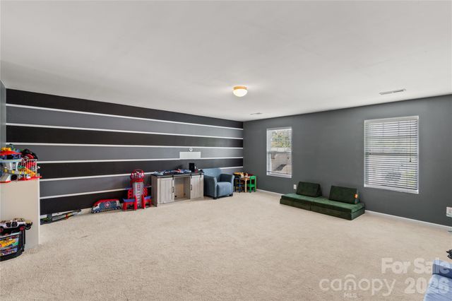 493 Dutch White Drive, Clover, SC 29710