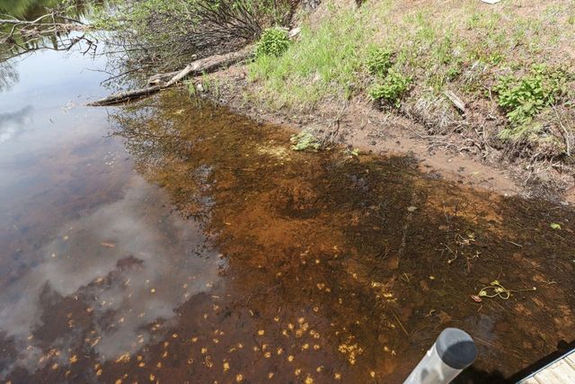 6679N W Plantation Road, Mercer, WI 54547