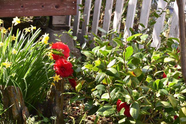 126 Center St, Jackson, CA 95642