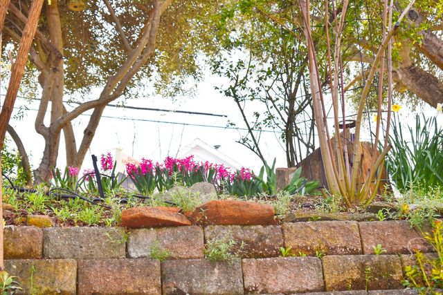 126 Center St, Jackson, CA 95642