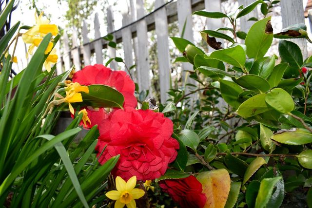 126 Center St, Jackson, CA 95642