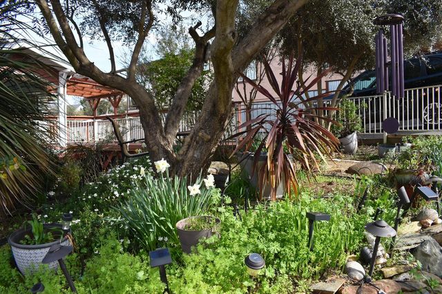 126 Center St, Jackson, CA 95642