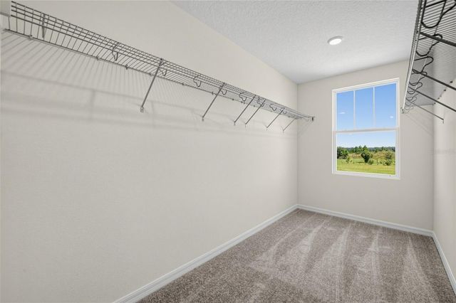 30161 EMERALD FOREST DRIVE, Mount Dora, FL 32757