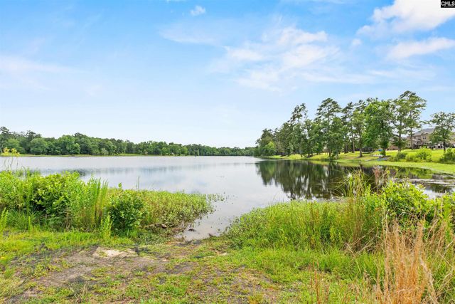 506 Litchfield Lane, Lexington, SC 29072