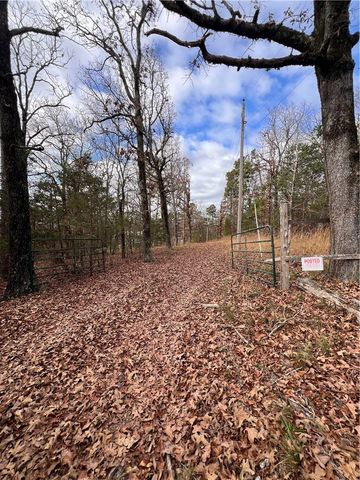 589 Pr 2721, London, AR 72847