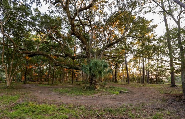 0 Haswell Street, Daniel Island, SC 29492