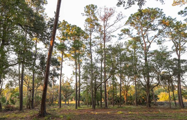 0 Haswell Street, Daniel Island, SC 29492