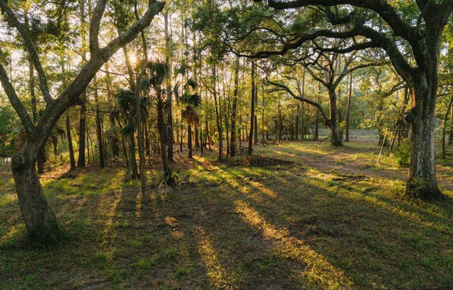 0 Haswell Street, Daniel Island, SC 29492