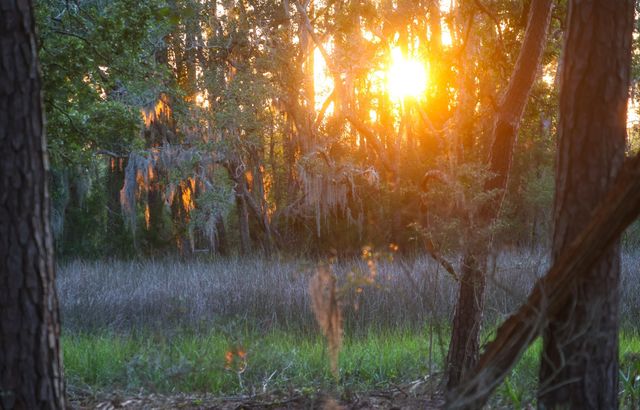 0 Haswell Street, Daniel Island, SC 29492