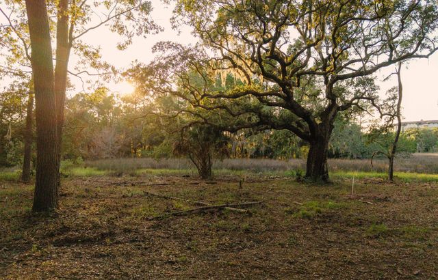 0 Haswell Street, Daniel Island, SC 29492