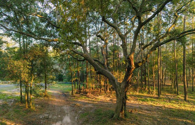 0 Haswell Street, Daniel Island, SC 29492