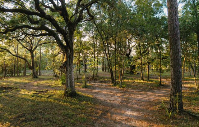 0 Haswell Street, Daniel Island, SC 29492