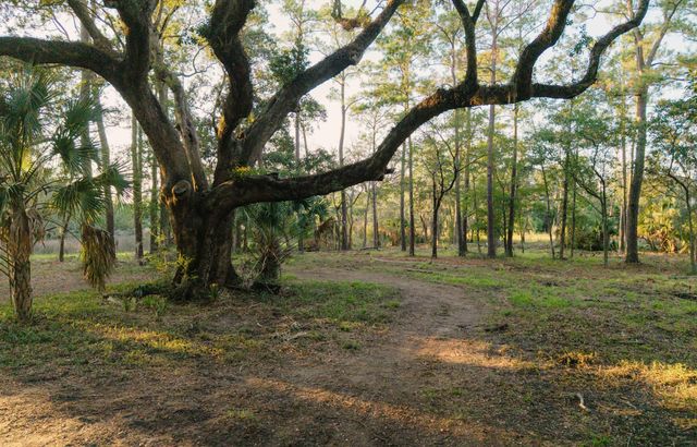 0 Haswell Street, Daniel Island, SC 29492