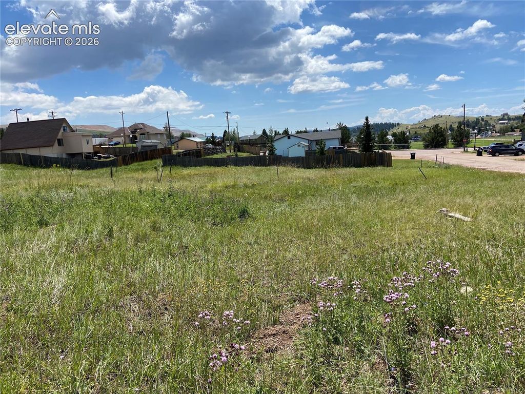 N A Street, Cripple Creek, CO 80813 — photo 3