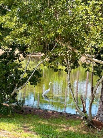 118 S Harborview Road, Santa Rosa Beach, FL 32459