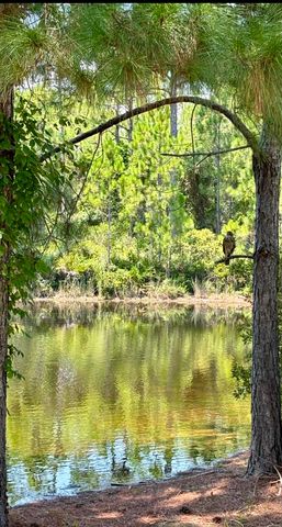 118 S Harborview Road, Santa Rosa Beach, FL 32459
