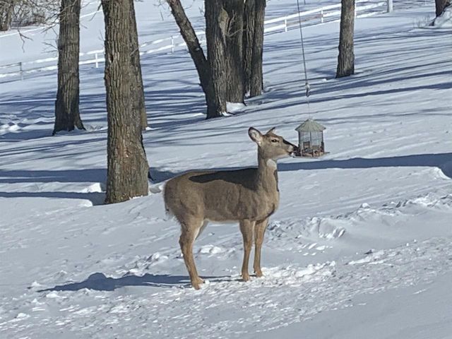 10538 W Erbe Road, Blue Mounds, WI 53517
