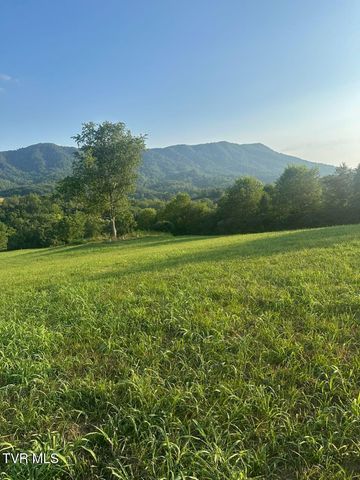 223 Gun Smoke Drive, Nickelsville, VA 24271