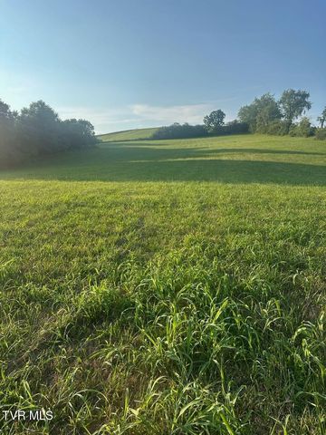 223 Gun Smoke Drive, Nickelsville, VA 24271