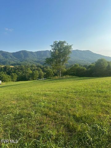 223 Gun Smoke Drive, Nickelsville, VA 24271