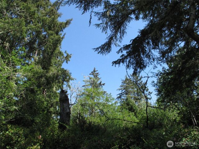 38385 Stackpole Road, Oysterville, WA 98641