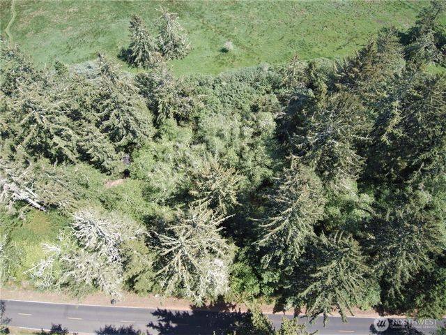 38385 Stackpole Road, Oysterville, WA 98641