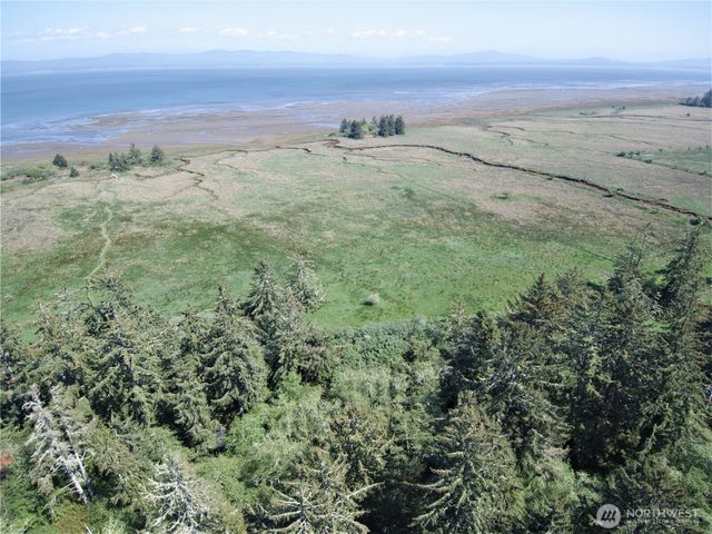 38385 Stackpole Road, Oysterville, WA 98641