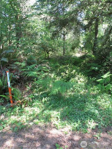 38385 Stackpole Road, Oysterville, WA 98641