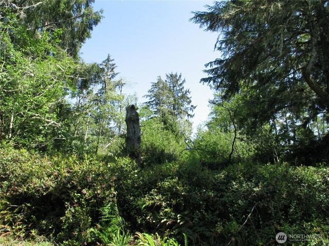 38385 Stackpole Road, Oysterville, WA 98641