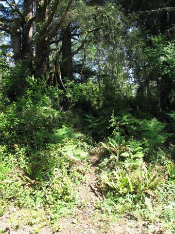 38385 Stackpole Road, Oysterville, WA 98641