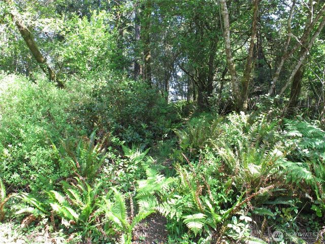 38385 Stackpole Road, Oysterville, WA 98641